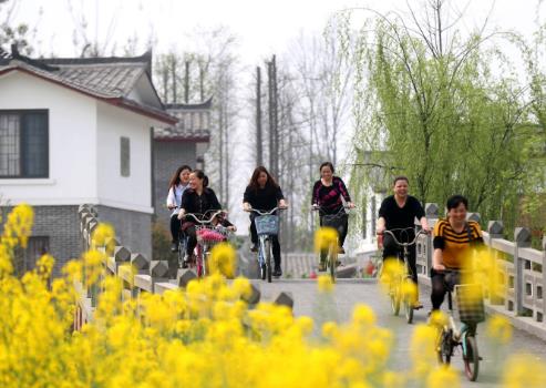 内蒙古阿拉善盟着力打造生态宜居幸福城