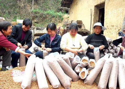 产业扶贫政策覆盖全国98%的贫困户