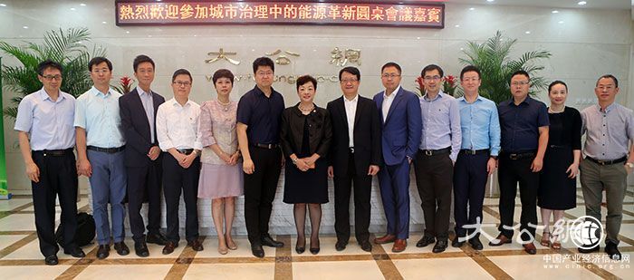 “城市治理中的能源革新”圆桌会议在京举办