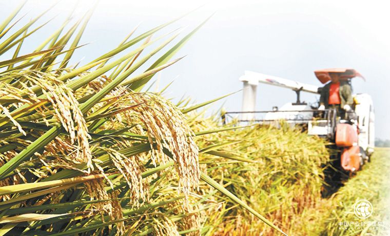 旅游将为“农民丰收节”提供广阔市场空间