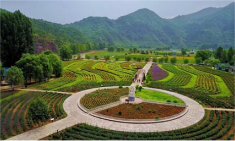 农业景观谋发展，北京密云人间花海水上娱乐王国受关注