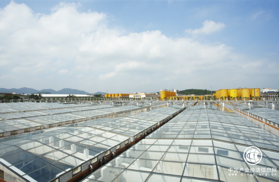 海天酱油践行企业社会责任 不断致力于产业升级