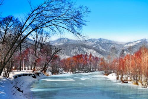 黑龙江铁力市全力打造文化旅游品牌