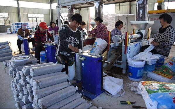 安徽砀山产业扶贫步入新阶段