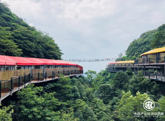 7月重庆旅游哪儿好玩？ 奥陶纪临崖树屋等露营地尝鲜