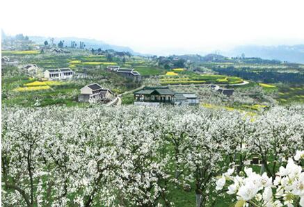 四川支持乡村旅游特色品牌培育 新认定联合国旅游组织“最佳旅游乡村” 一次性奖补200万元