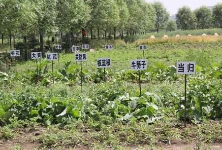 甘肃7年累计减贫550万人 75个贫困县摘帽67个