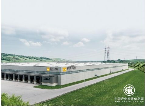 疯狂小狗宠物食品：以人类食品安全标准研制健康狗粮