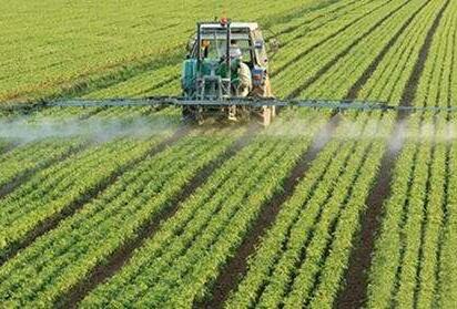 湖北省出台粮食产业三年培植计划