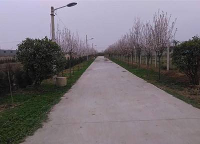 交通运输部：上半年新改建农村公路10.1万公里