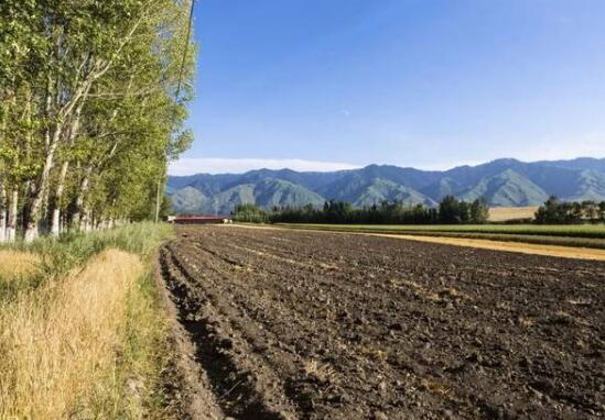 黑龙江哈尔滨“六大行动”防治农业污染