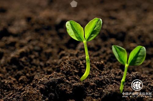 我国土壤治理修复存在诸多短板 期待综合性解决方案