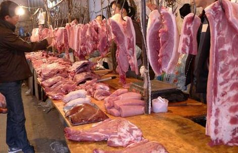 立秋后猪肉价格或重回低迷 逢高出栏不应惜售