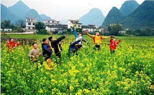 河北：乡村振兴启新程