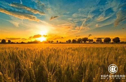 一带一路拓展农业合作新机遇