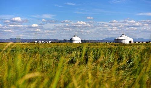 内蒙古乡村振兴：培育“农字号”产业