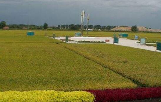 黑龙江伊春铁力市坚持质量兴农绿色兴农