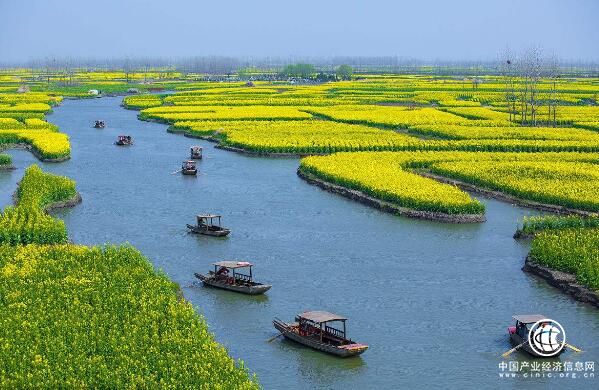 江苏兴化以全域旅游促“大公园”建设