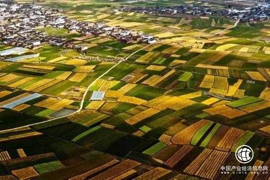 张红宇：粮食是大国重器 耕地红线不可逾越