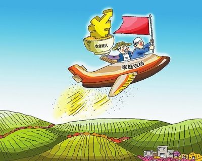 经济形势年中看：农业农村经济高质量发展开局良好