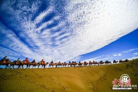 上半年国内旅游人数超28亿人次 旅游收入2.45万亿