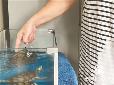 选择“以房养老”后：独居老人每月多1800元养老金