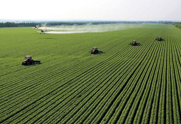 山东将出台农业“新六产”发展专项规划