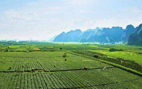 减贫路上，汗水绘就新生活