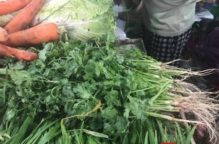 暴雨天气“后遗症”，香菜比肉贵最高卖到60元/斤