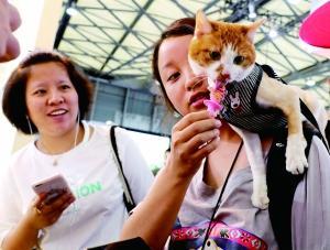 宠物经济创造商机 犬猫宠物市场规模已达到1700多亿