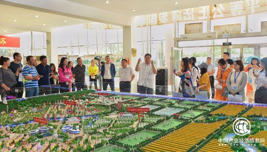 黑龙江甘南县兴十四村：2%村民耕种 98%村民务工