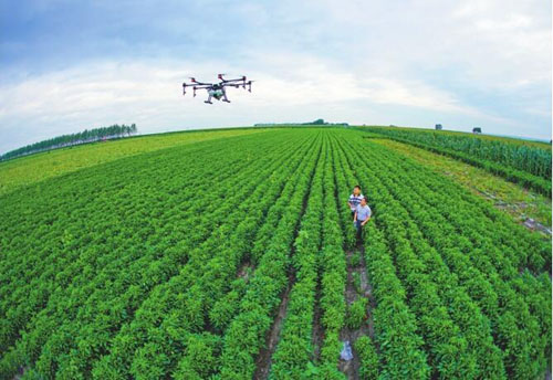 黑龙江农业优势：丰富舌尖上的旅行