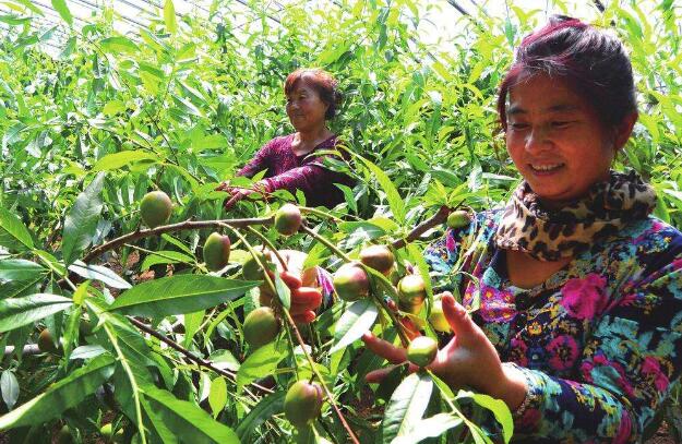 吉林省白山市打造生态效益型特色农业