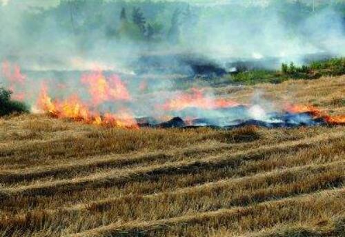 黑龙江建立禁止秸秆露天焚烧工作联席会议制度