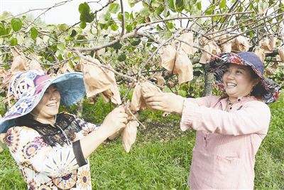 四川成都计划培育3万名新型职业农民