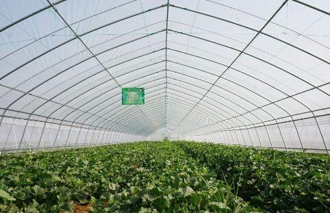 极端天气暴露我国农业基础设施建设存在的短板