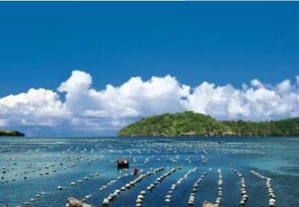 广东拟立法促进乡村振兴 重点扶持现代海洋渔业等产业