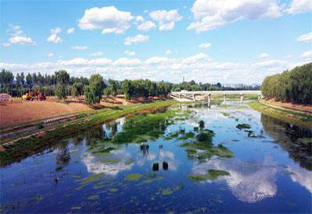 环保业蹿“虚火” 亟需回归服务本质