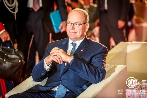 探索濒危动物现状_BRICKLIVE(砖享)动物王国环保展一北京站开幕