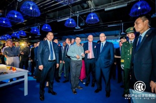 探索濒危动物现状_BRICKLIVE(砖享)动物王国环保展一北京站开幕