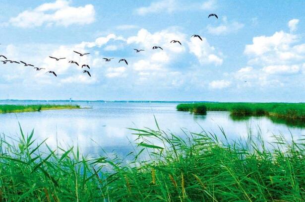 《哈尔滨市湿地保护办法》10月1日正式实施