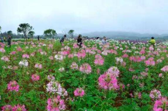 贵州“内外”联动探索开放式扶贫