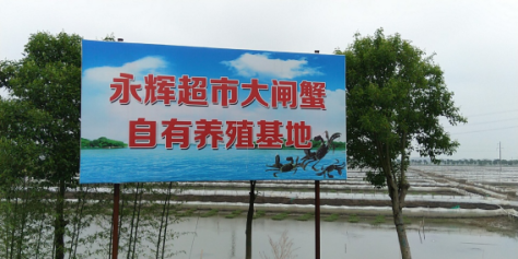 食蟹季来临 永辉源头直采确保大闸蟹质优价美