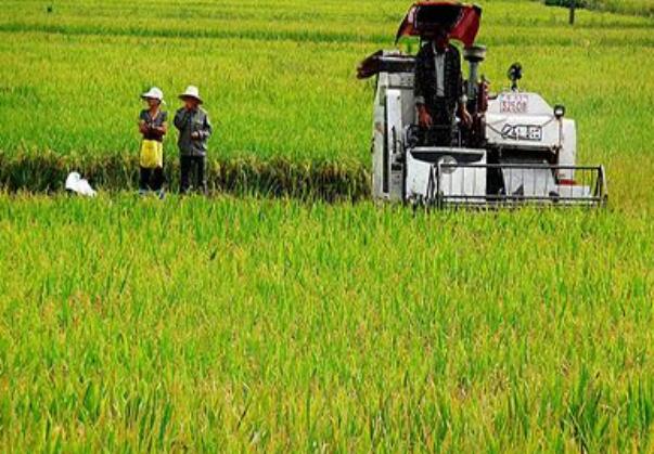 山西今年确定27个农业生产托管服务试点项目县