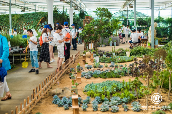大城市里的农业综合体 华盛绿能用城市需求带动乡村振兴