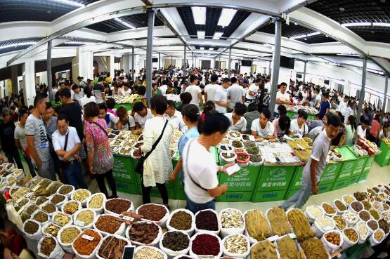 安徽亳州全力打造“世界中医药之都”