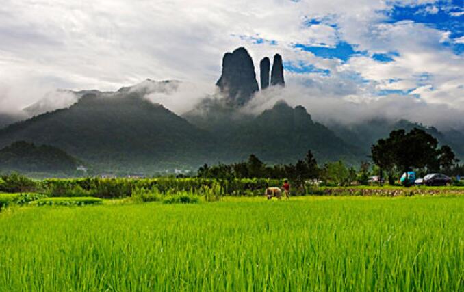 “全球免费游衢州”助力“大花园”建设