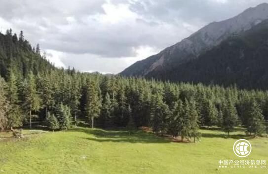 四川：搭建“三区”平台 集约集聚推进林草创新创业