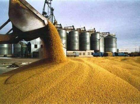 巴西预计今年粮食总产量将达3.02亿吨