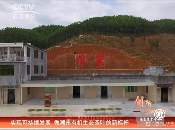 CCTV证券资讯频道《每周财经资讯》 走进炜业茶园 做有机生态茶叶新标杆
